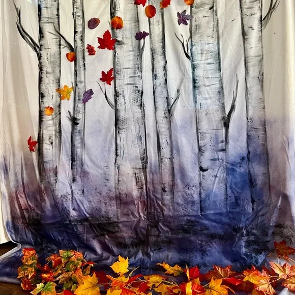 Frozen II backdrop - Picture 1 of 8